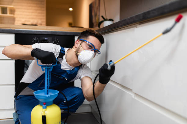 Insect Control in Farmers Branch, TX