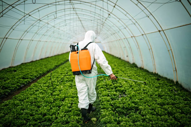 Best Pest Control Near Me  in Farmers Branch, TX