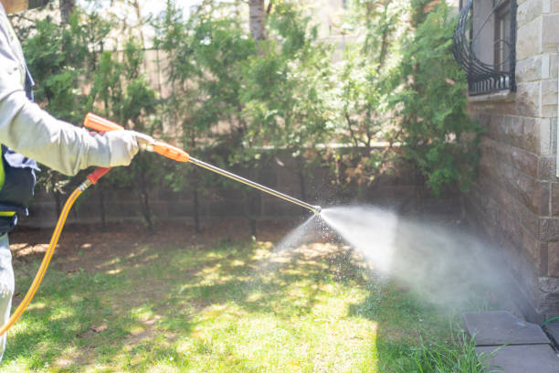 Best Best Pest Control Companies  in Farmers Branch, TX