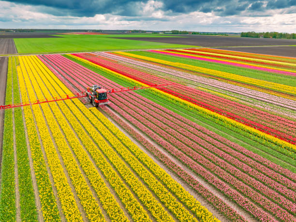 Pest Prevention Services in Farmers Branch, TX