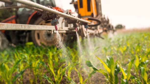 Best Pest Inspection Near Me  in Farmers Branch, TX